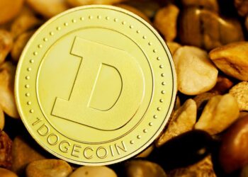 Dogecoin Headed To Below $1B Market Capitalization, Says Crypto Veteran Investor Barry Silbert